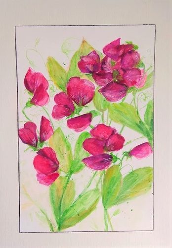 Chris D, Sweet Peas, watercolour.